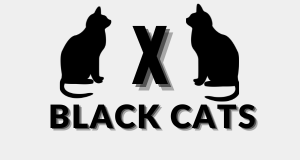 X Black Cats-min